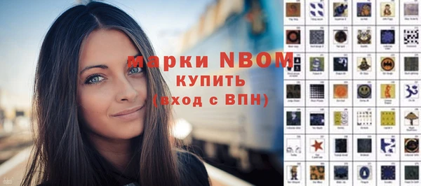 шишки Арсеньев