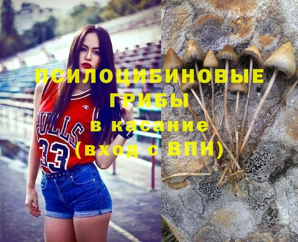 эйфоретик Аркадак