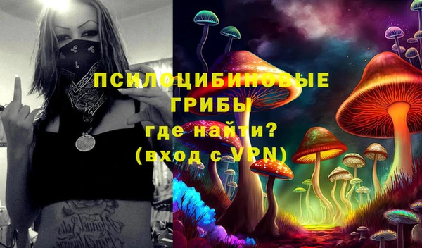 шишки Арсеньев