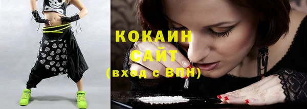 шишки Арсеньев