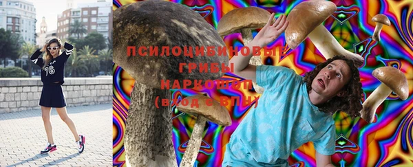 эйфоретик Аркадак