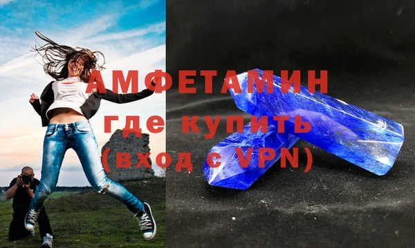 шишки Арсеньев