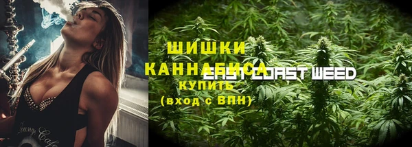 эйфоретик Аркадак
