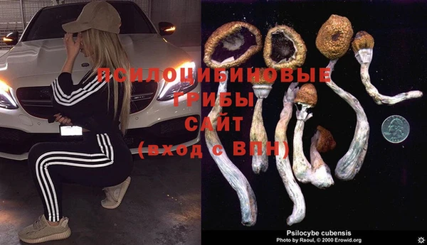 эйфоретик Аркадак