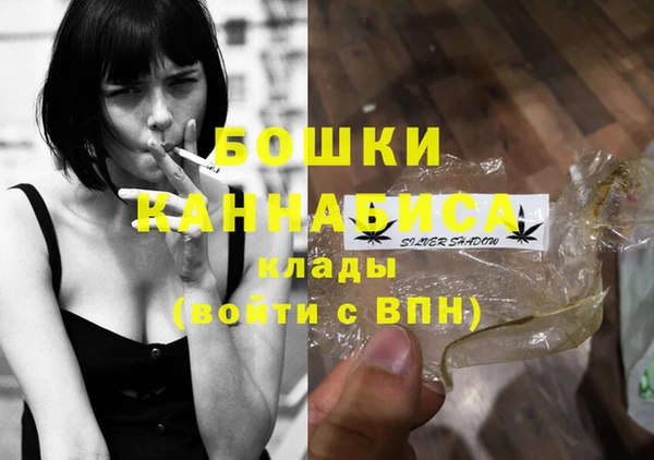 шишки Арсеньев