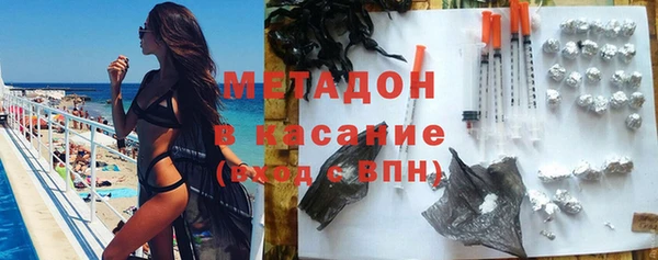 шишки Арсеньев