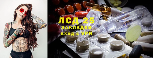 индика Михайловск