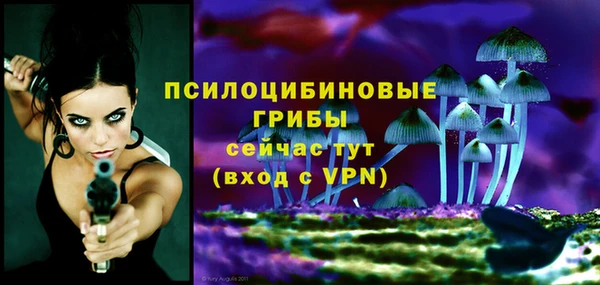 эйфоретик Аркадак
