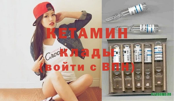 шишки Арсеньев