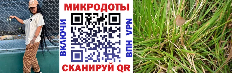Псилоцибиновые грибы Psilocybine cubensis Новый Уренгой