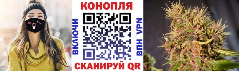 Бошки марихуана индика магазин продажи наркотиков Новый Уренгой